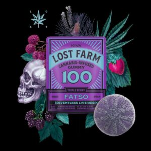 Lost Farm Triple Berry x Fatso Gummy 100mg